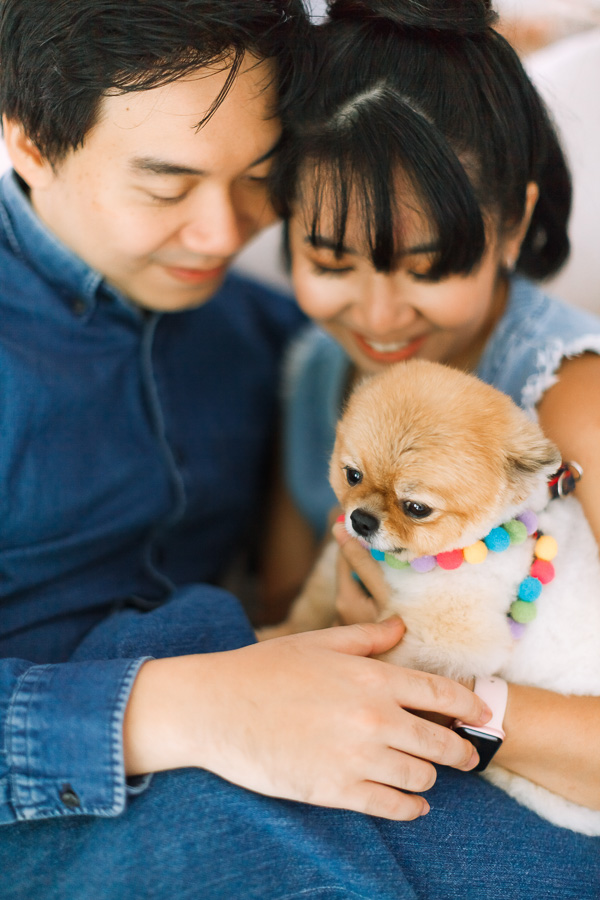 pre-wedding with dogs in malaysia